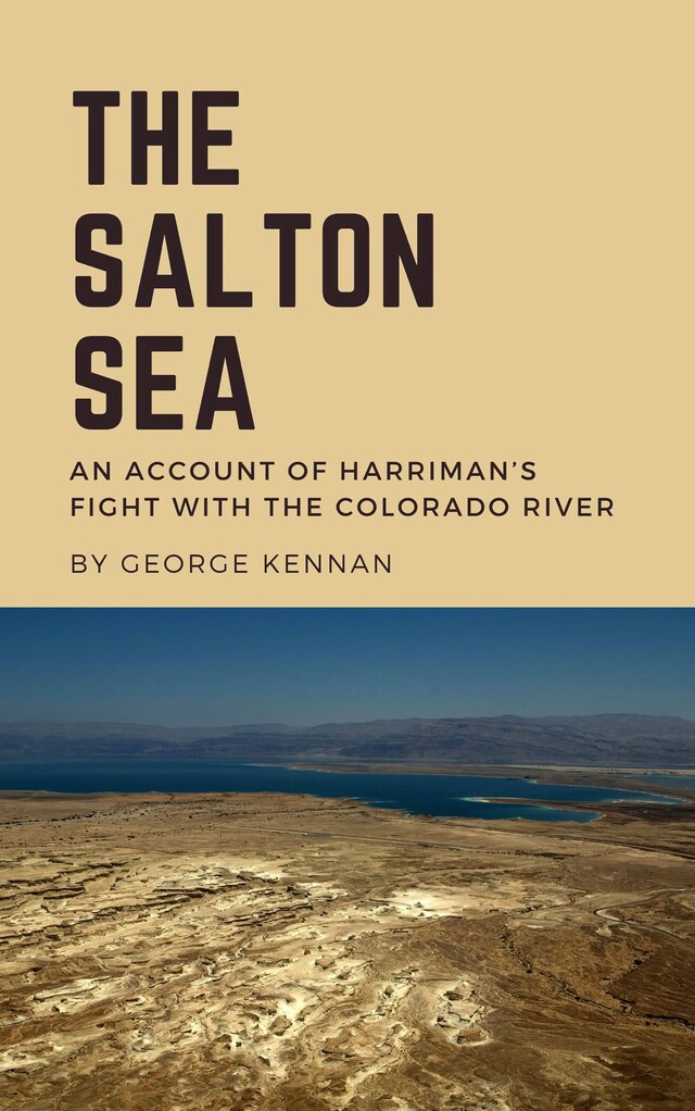 Couverture de livre pour The Salton Sea