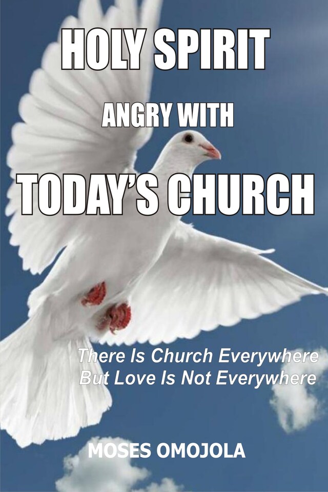 Book cover for Holy spirit angry with today’s church