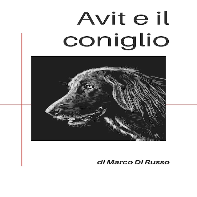 Book cover for Avit e il coniglio