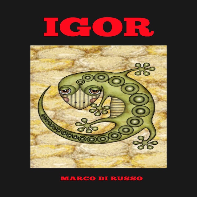 Copertina del libro per IGOR