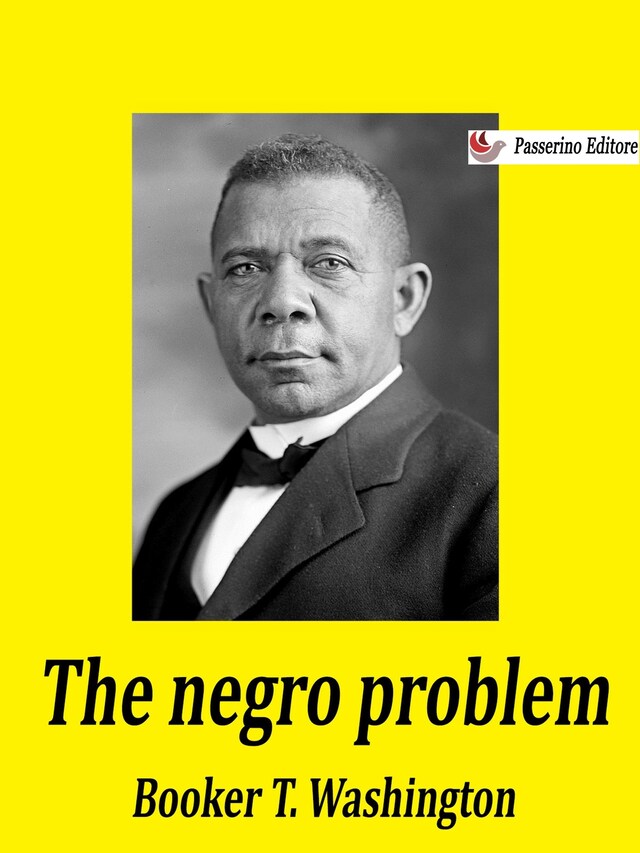 Buchcover für The negro problem