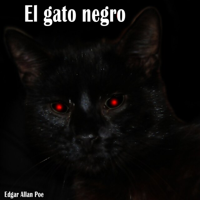 Okładka książki dla EL Gato Negro