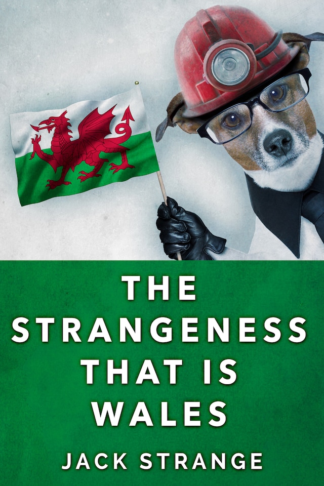 Book cover for The Strangeness That Is Wales