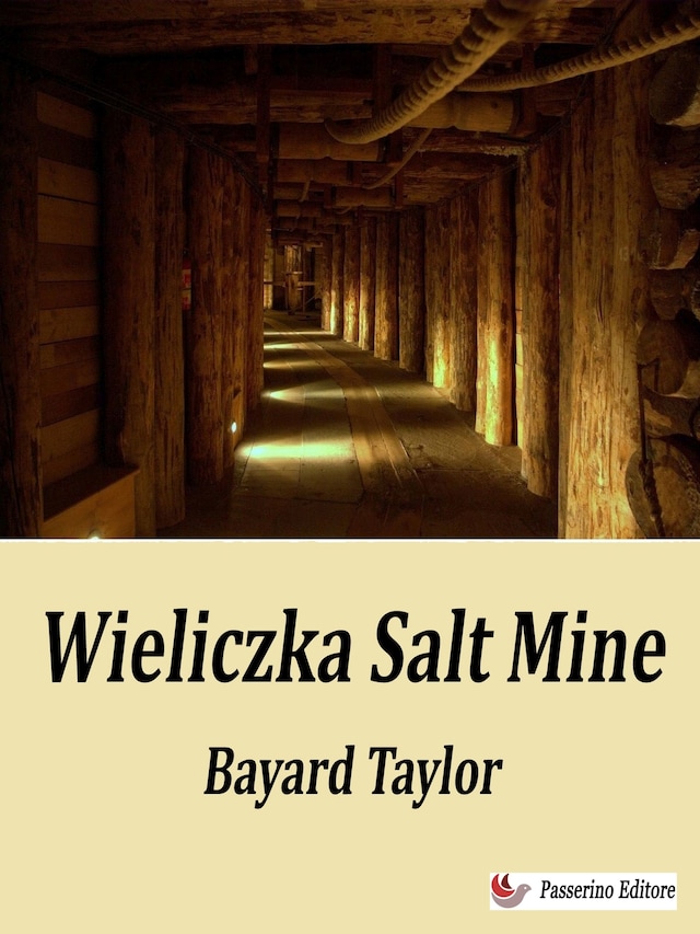 Book cover for Wieliczka Salt Mine, 1850