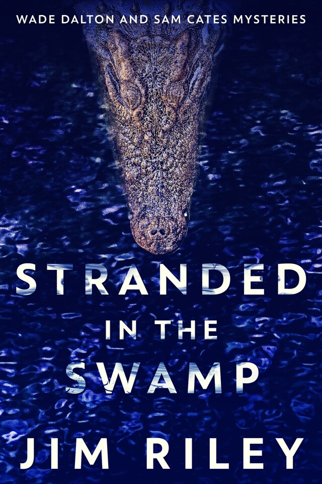 Book cover for Stranded In The Swamp