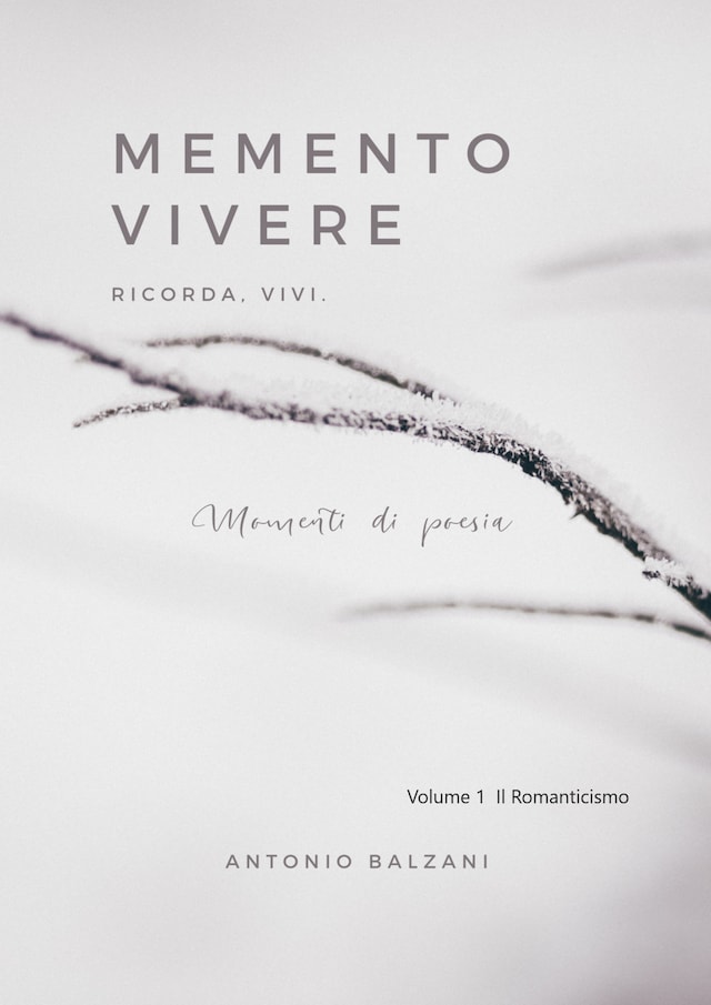 Book cover for Memento Vivere
