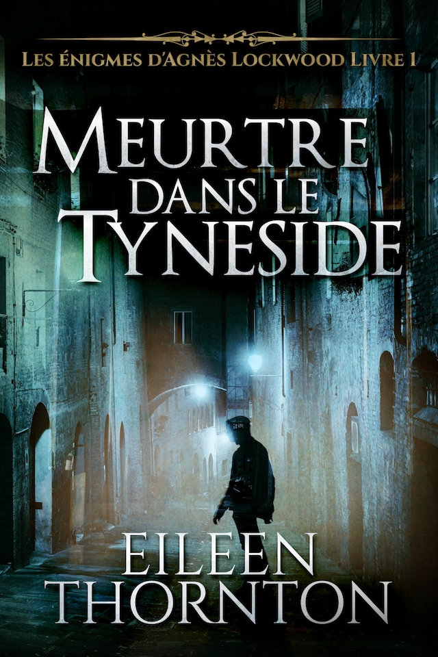 Book cover for Meurtre dans le Tyneside