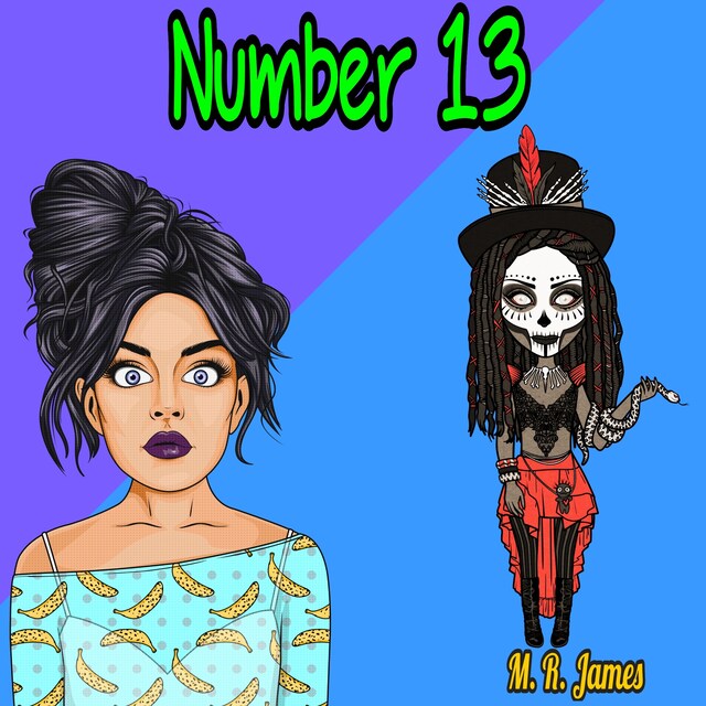 Couverture de livre pour Number 13