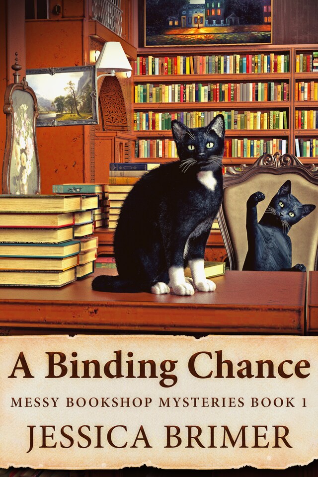 Book cover for A Binding Chance