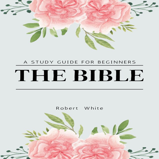 Book cover for The Bible