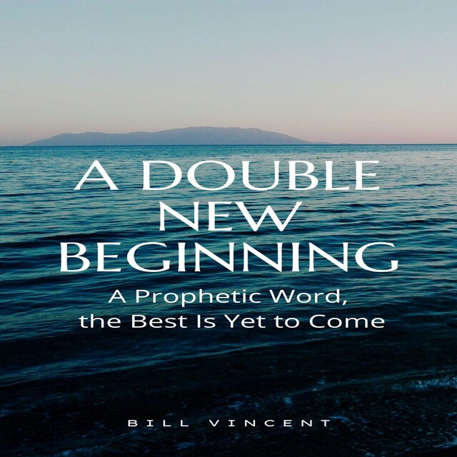 Book cover for A Double New Beginning