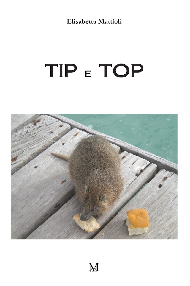 Book cover for Tip e top