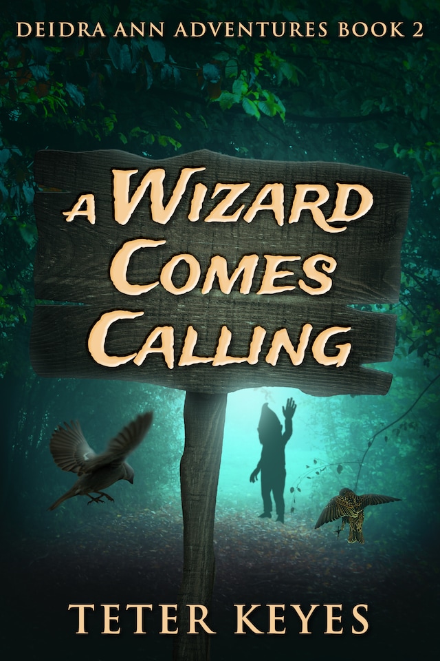 Buchcover für A Wizard Comes Calling