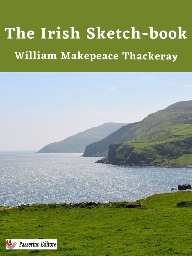 Book cover for The Irish Sketch-book