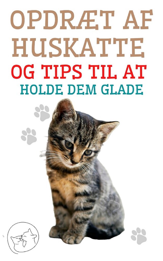 Buchcover für Opdræt af huskatte og tips til at holde dem glade