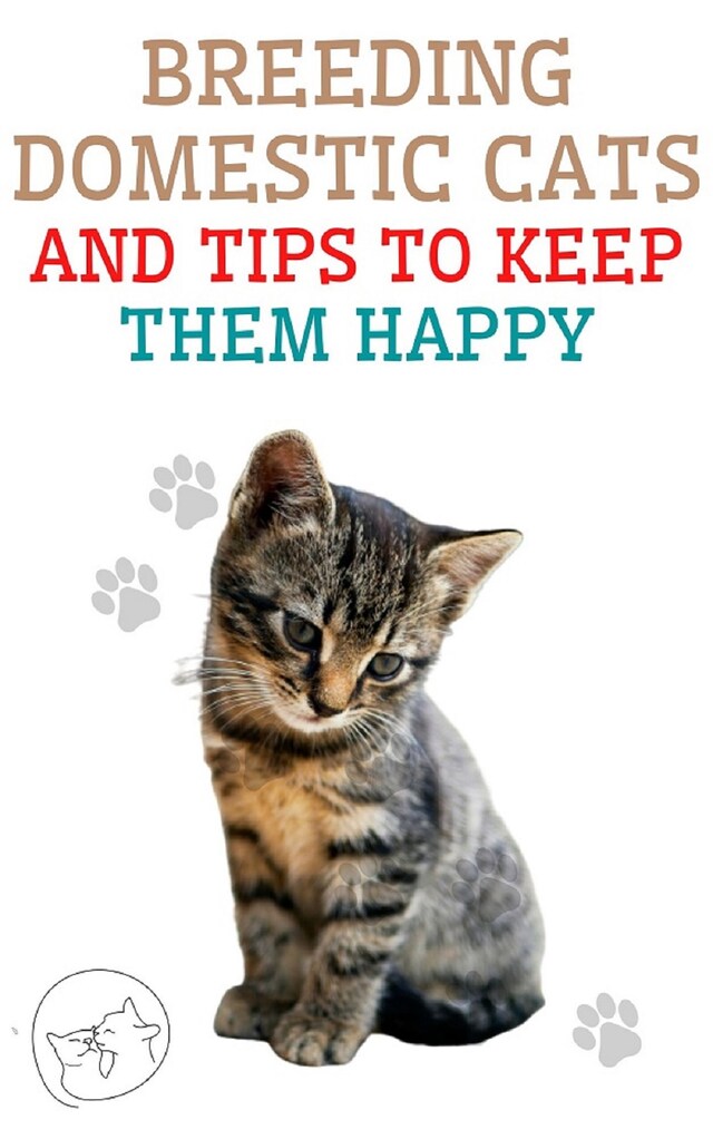 Book cover for Breeding Domestic Cats and Tips to Keep Them Happy