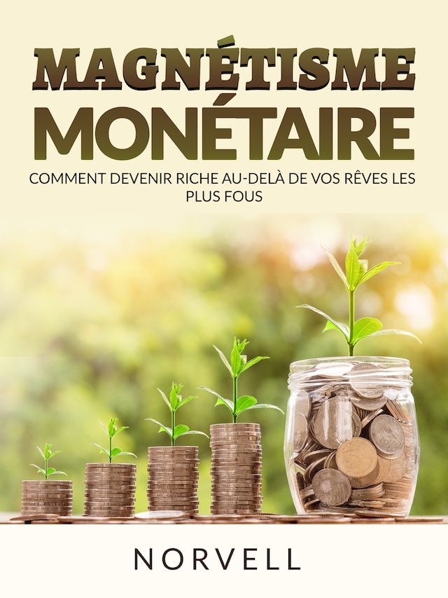 Book cover for Magnétisme Monétaire (Traduit)