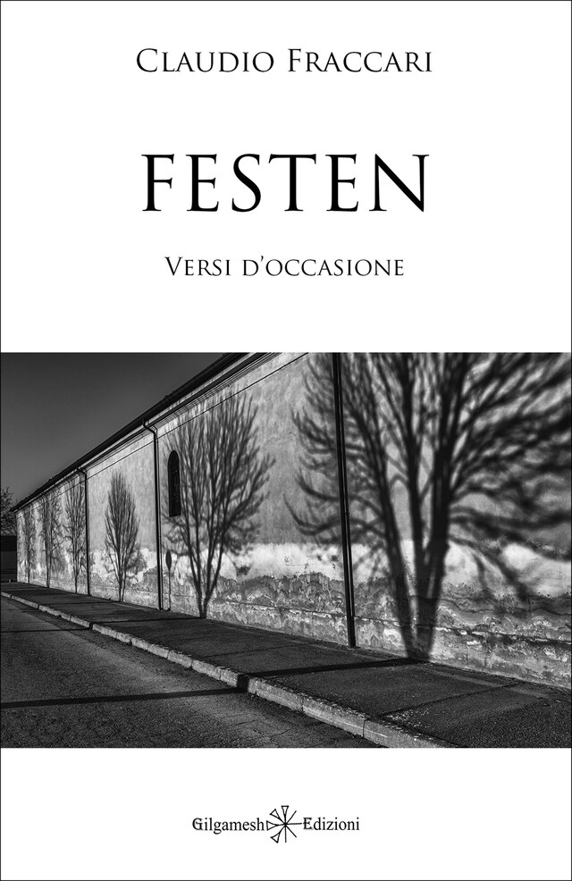 Book cover for Festen