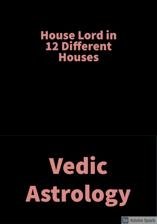 Kirjankansi teokselle House Lord in 12 different Houses