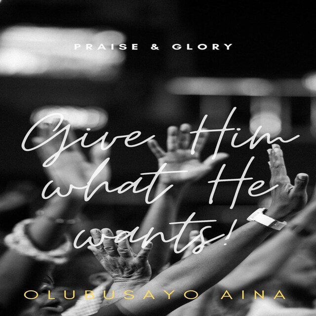 Copertina del libro per Give Him what He wants!