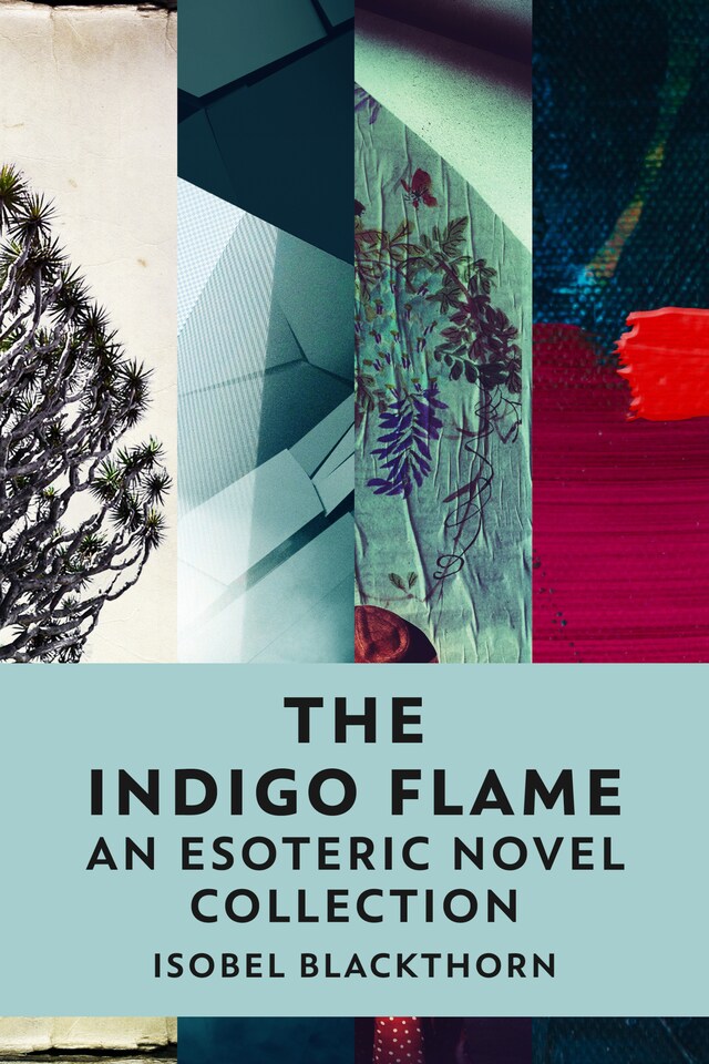 Book cover for The Indigo Flame