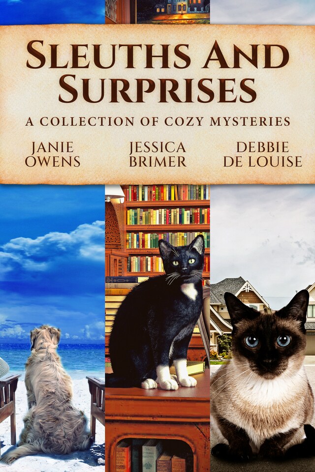 Book cover for Sleuths and Surprises