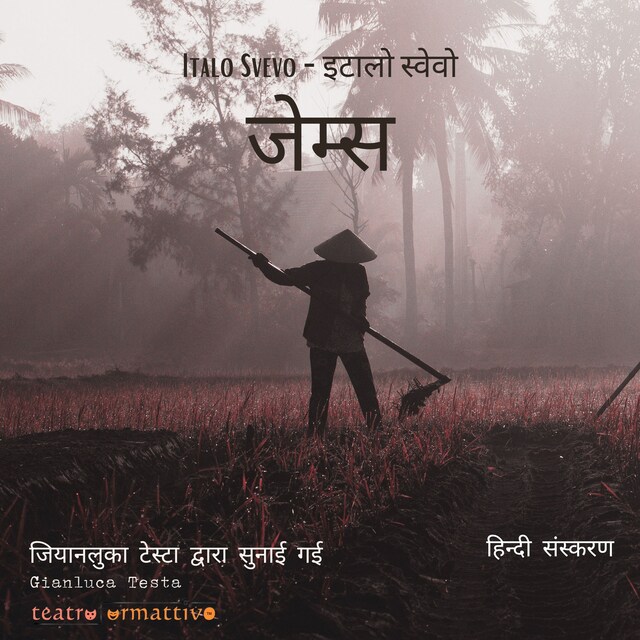 Book cover for जेम्स