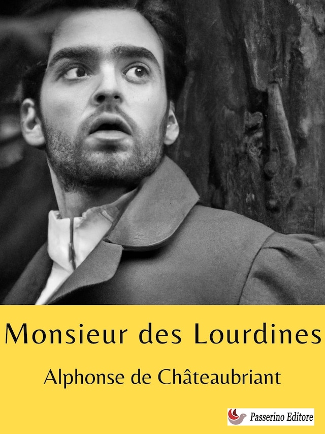 Book cover for Monsieur des Lourdines