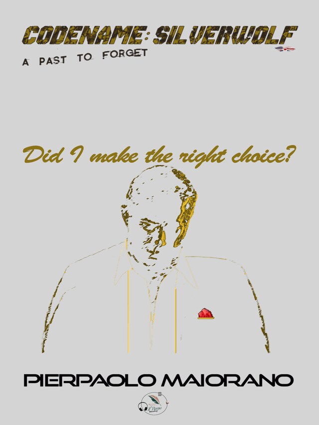 Book cover for Did I make the right choice?