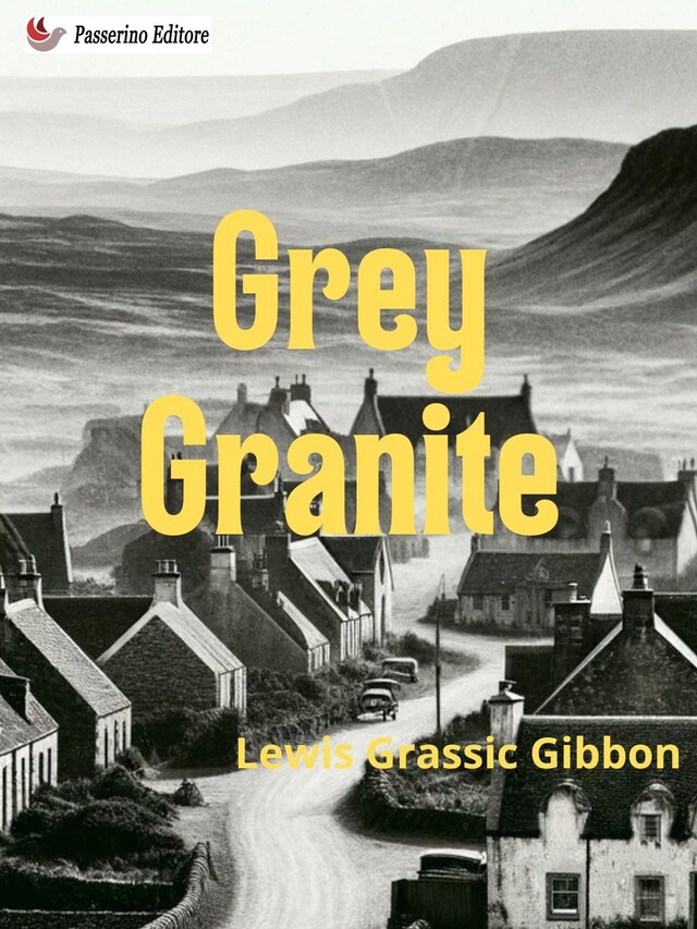 Book cover for Grey Granite