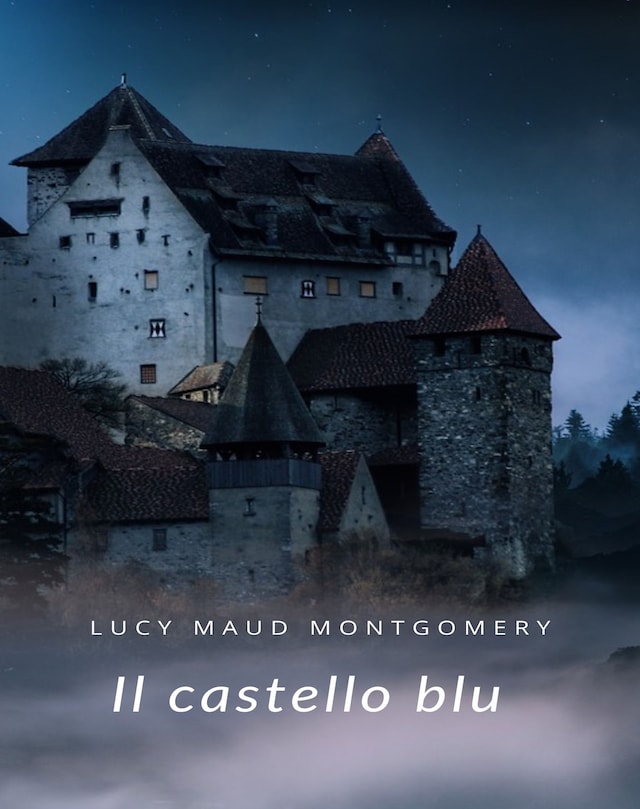 Book cover for Il castello blu (tradotto)