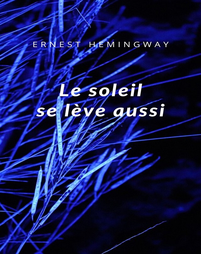 Book cover for Le soleil se lève aussi (traduit)