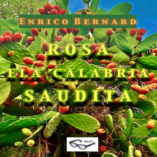 Copertina del libro per Rosa e la Calabria "Saudita"