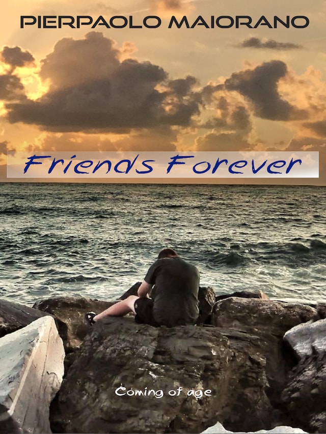 Copertina del libro per Friends Forever