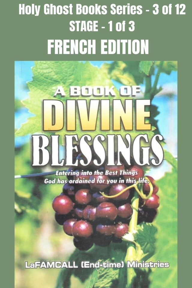 Boekomslag van A BOOK OF DIVINE BLESSINGS - Entering into the Best Things God has ordained for you in this life - FRENCH EDITION