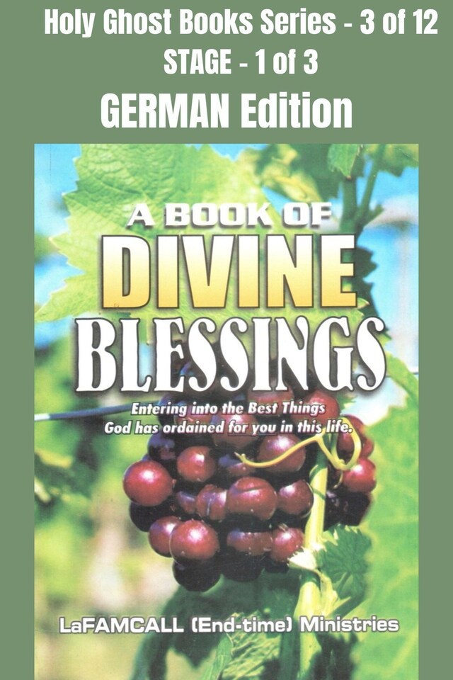 Boekomslag van A BOOK OF DIVINE BLESSINGS - Entering into the Best Things God has ordained for you in this life - GERMAN EDITION