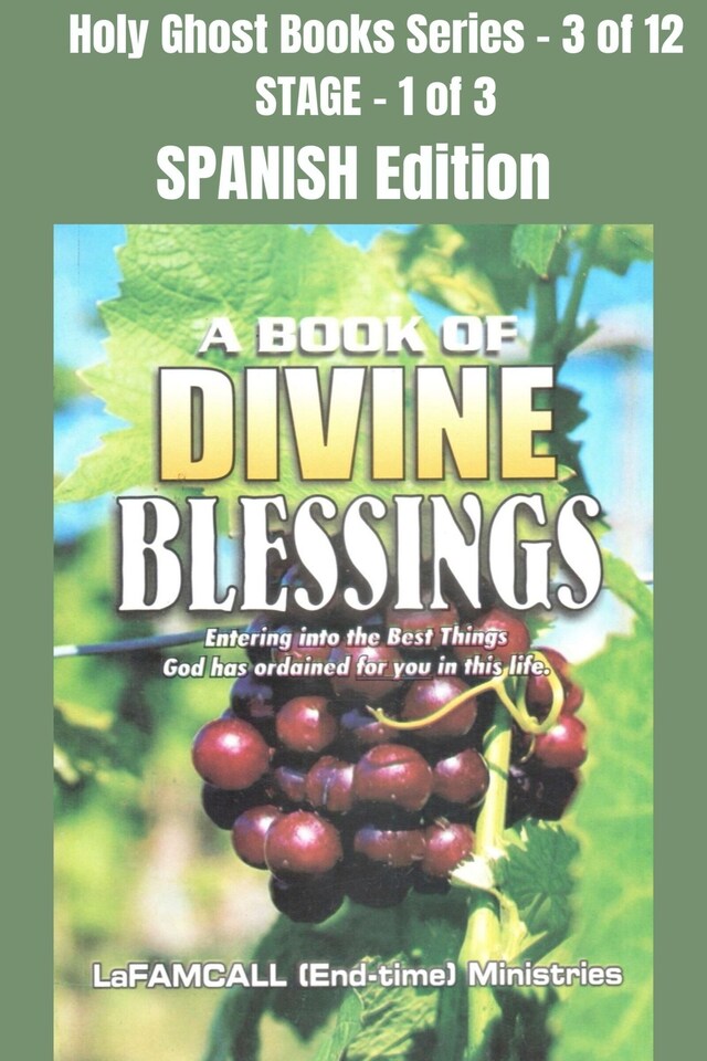 Boekomslag van A BOOK OF DIVINE BLESSINGS - Entering into the Best Things God has ordained for you in this life - SPANISH EDITION