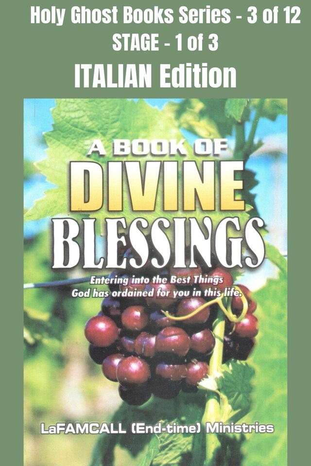 Boekomslag van A BOOK OF DIVINE BLESSINGS - Entering into the Best Things God has ordained for you in this life - ITALIAN EDITION