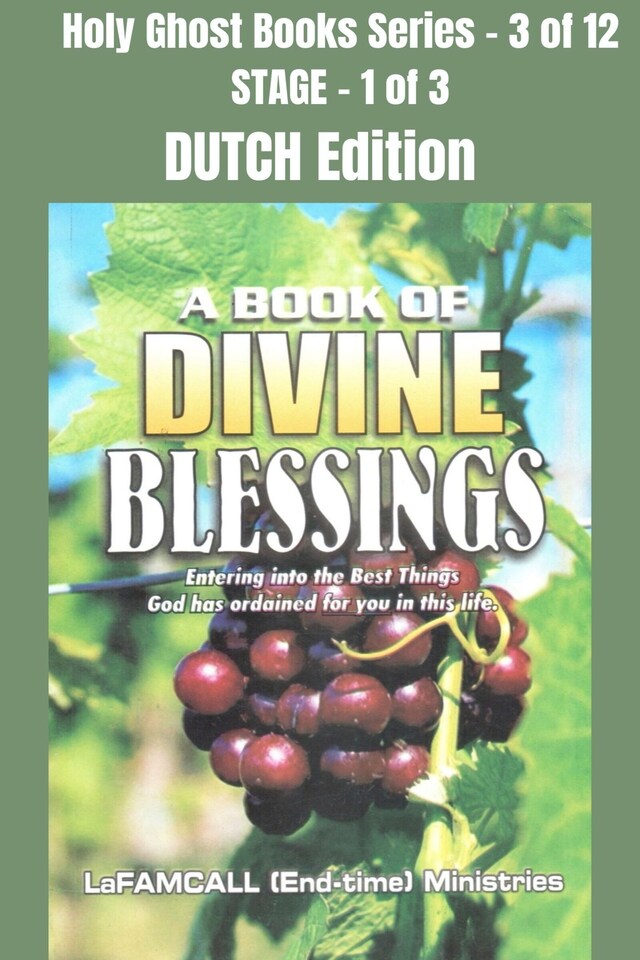 Boekomslag van A BOOK OF DIVINE BLESSINGS - Entering into the Best Things God has ordained for you in this life - DUTCH EDITION