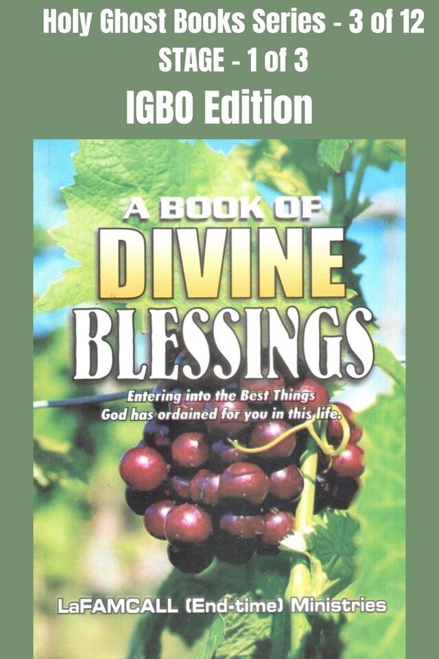 Boekomslag van A BOOK OF DIVINE BLESSINGS - Entering into the Best Things God has ordained for you in this life - IGBO EDITION