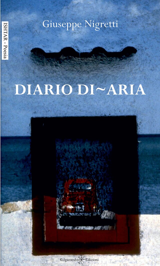 Book cover for Diario di-aria