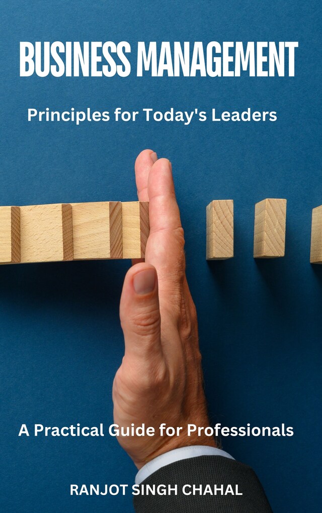 Boekomslag van Business Management Principles for Today's Leaders: A Practical Guide for Professionals