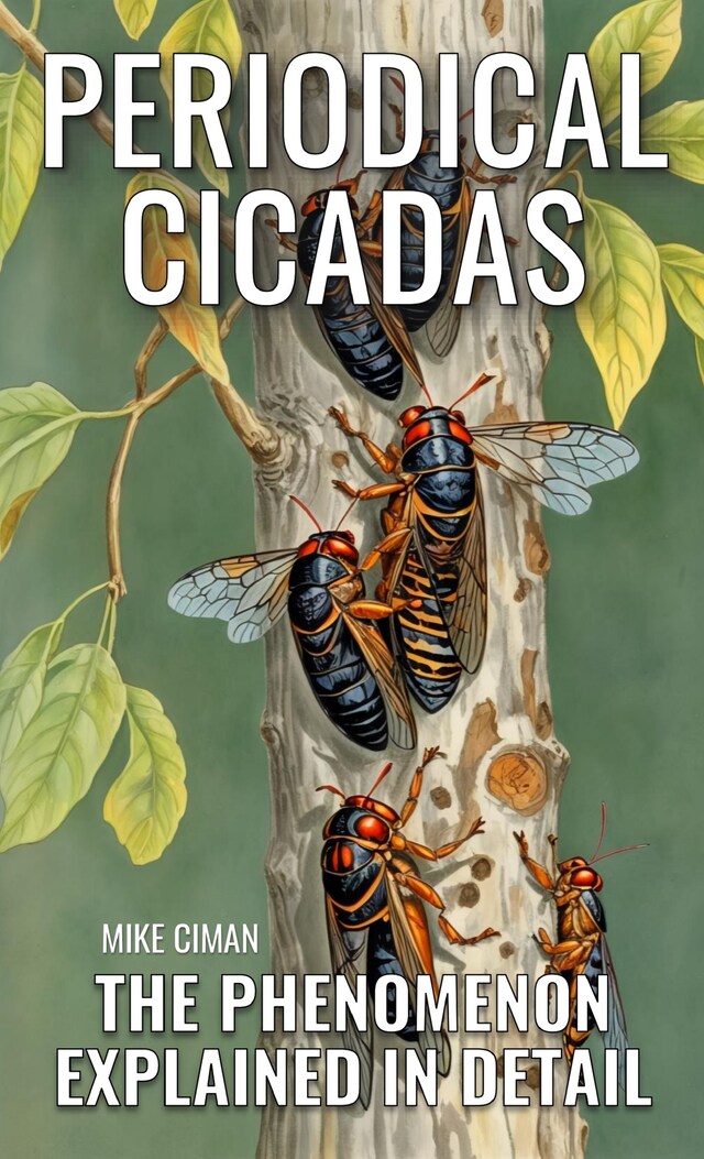 Book cover for Periodical Cicadas - The Phenomenon Explained In Detail