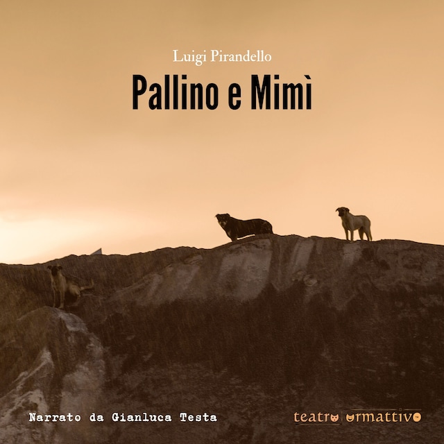 Okładka książki dla Pallino e Mimì