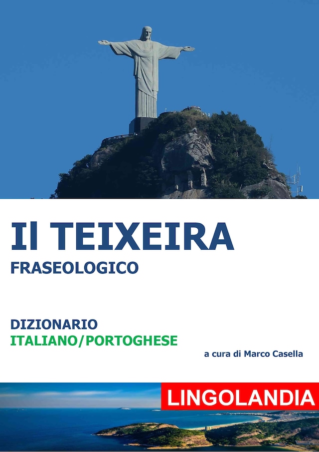 Book cover for Il Teixeira