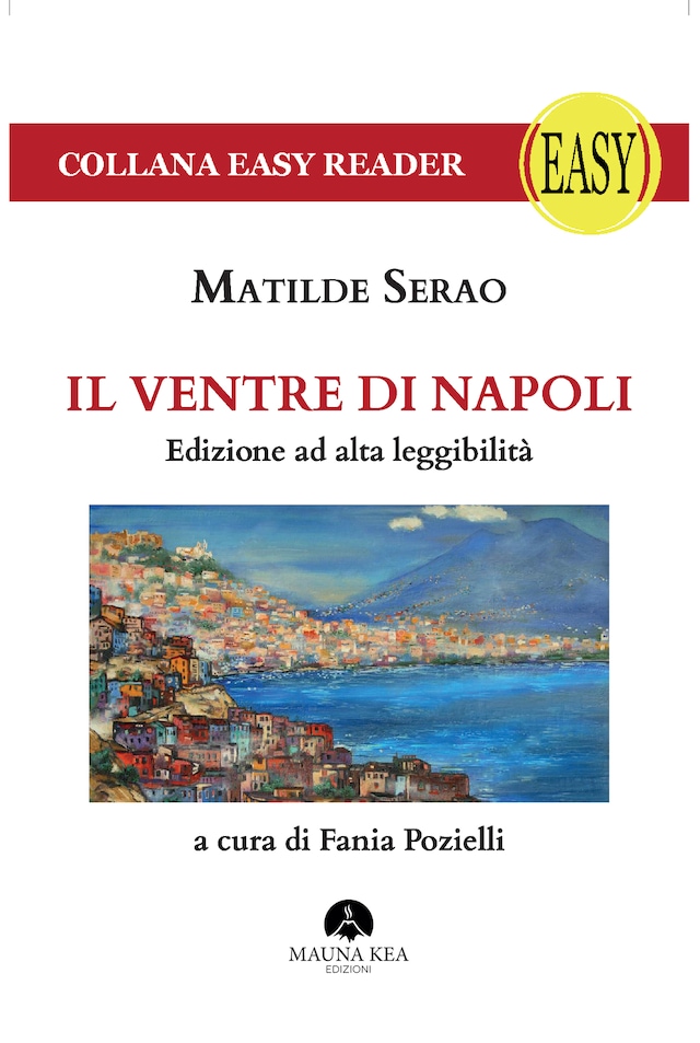 Book cover for Il Ventre di Napoli