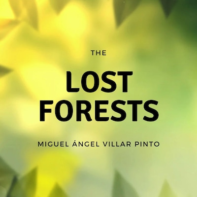The Lost Forests