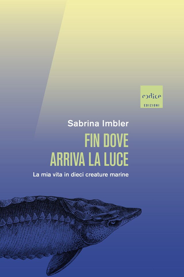 Buchcover für Fin dove arriva la luce