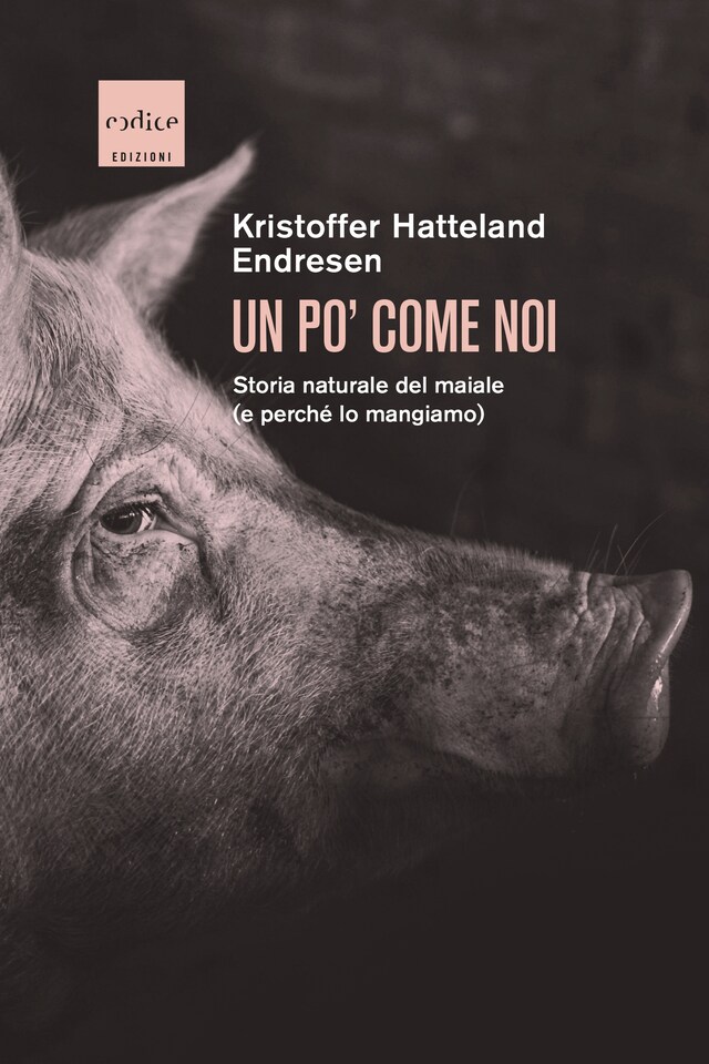 Copertina del libro per Un po' come noi