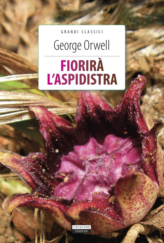 Book cover for Fiorirà l'aspidistra